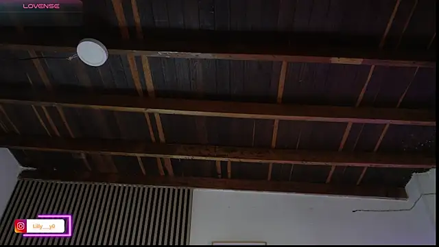 Snapshot of LillyDolls23 chatting on February 2026 01:09:02 PM LillyDolls23 online show from February 2026 01:09:02 PM