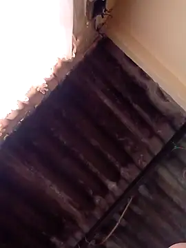 dantero online show from January 2025 04:51:02 PM