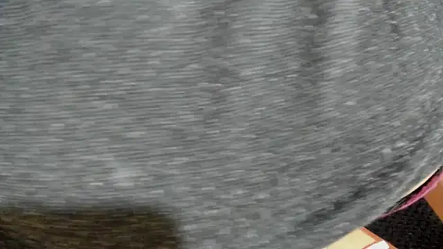 Snapshot of Cloee66 chatting on February 2025 07:42:01 PM Cloee66 online show from February 2025 07:42:01 PM