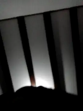 Snapshot of jan20_ chatting on February 2025 12:16:01 AM jan20 online show from February 2025 12:16:01 AM