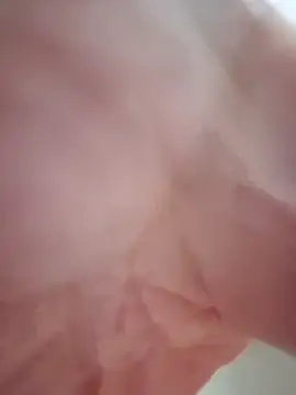 StiveMartin online show from December 2025 04:59:02 PM