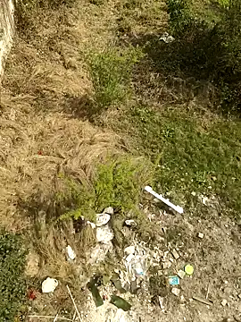 lund lol online show from February 2025 07:22:02 AM