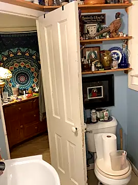 sexyasscougar online show from October 2025 07:39:01 AM