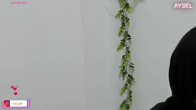 aysel elid online show from January 2025 12:06:02 AM