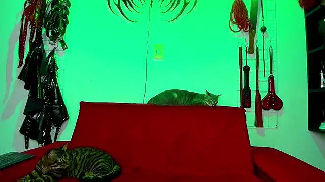 irregular fetish  online show from February 2026 07:46:01 PM