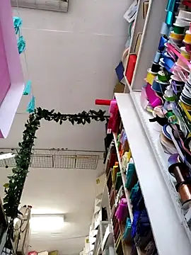 Snapshot of Mia_Novikov chatting on February 2025 11:03:02 PM Mia Novikov online show from February 2025 11:03:02 PM