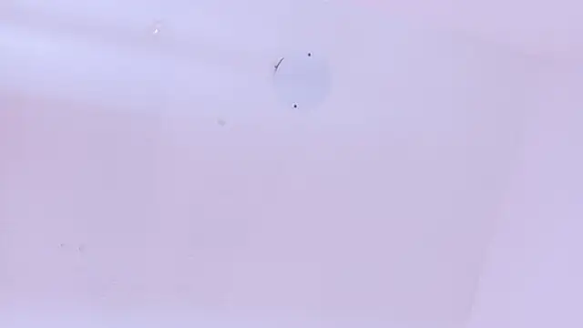 LoveQueen2 online show from March 2026 11:48:02 AM