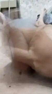 quierodarleche69 online show from January 2025 03:26:02 AM