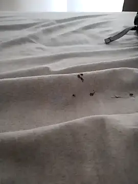 BarbudoSP35 online show from March 2025 01:18:02 PM