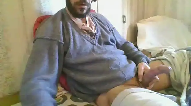 tozebrito hd online show from December 2024 10:12:02 AM