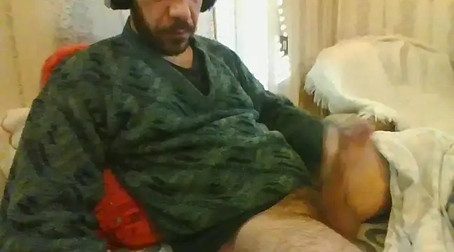 tozebrito hd online show from February 2025 08:29:01 AM