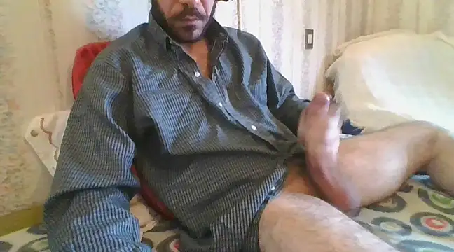 tozebrito hd online show from February 2025 09:37:01 AM