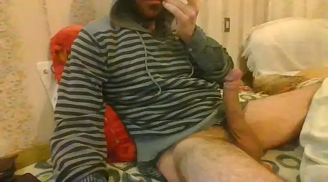 tozebrito hd online show from February 2025 09:45:01 AM