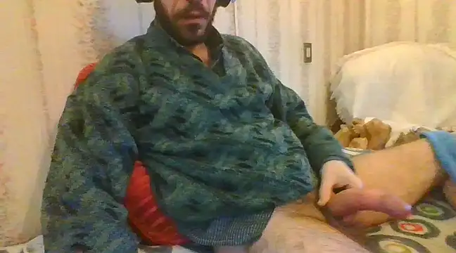 tozebrito hd online show from February 2025 08:16:01 AM