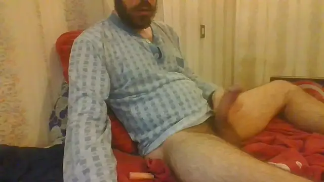 tozebrito hd online show from October 2025 04:36:01 AM