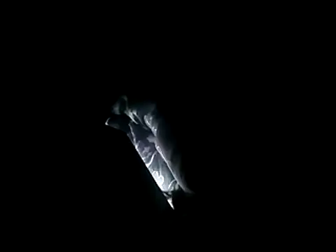 Blkstylion online show from May 2026 10:36:01 AM
