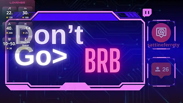 Snapshot of Sattine chatting on November 2025 08:35:02 PM Sattine online show from November 2025 08:35:02 PM