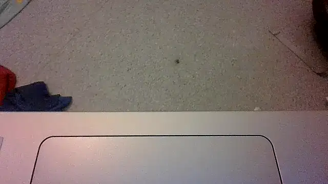 Machoviking1 online show from October 2025 06:46:02 AM