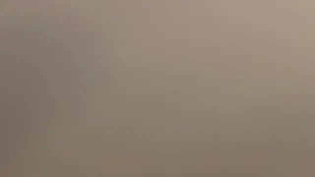 Ammy Castro online show from May 2026 10:17:02 PM