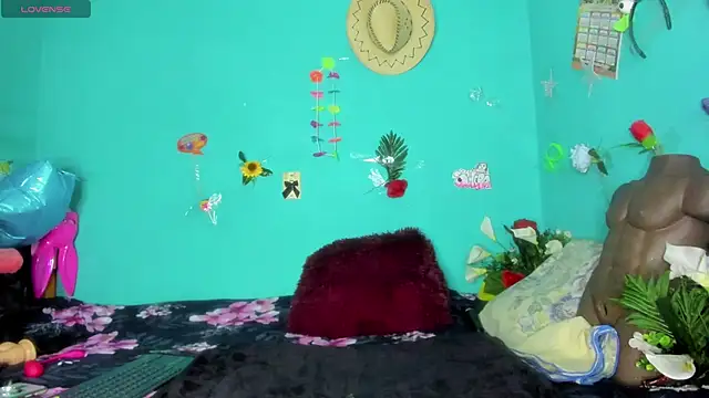 SheraHadee online show from February 2026 08:15:02 AM