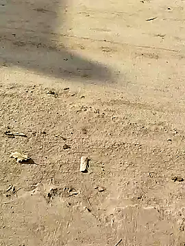 Snapshot of Monster_Bigdick chatting on December 2024 03:32:01 AM Monster Bigdick online show from December 2024 03:32:01 AM