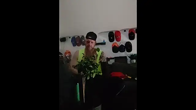 eltoulou online show from January 2025 06:05:01 PM