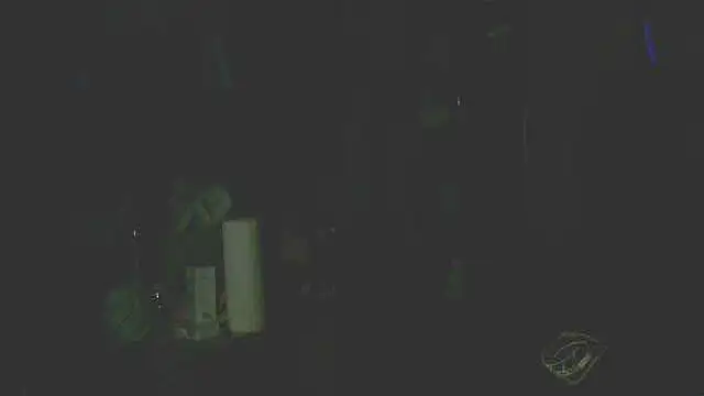 perversalus online show from December 2025 05:29:01 PM