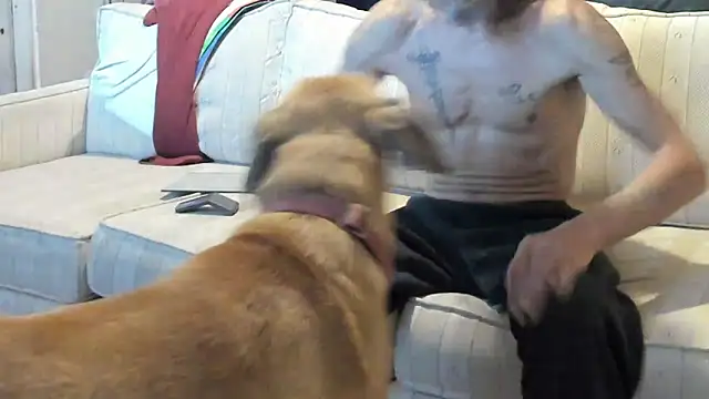 Snapshot of jayshort786 chatting on September 2025 06:21:01 PM jayshort786 online show from September 2025 06:21:01 PM