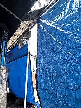 TexaSMESS 37 online show from February 2026 03:59:01 PM