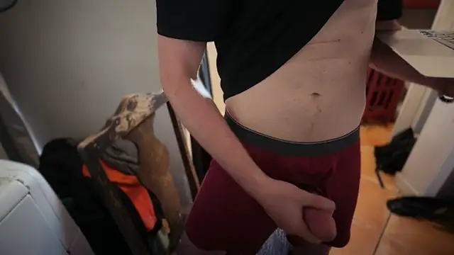 Dogz n daugthers online show from April 2026 01:24:02 PM