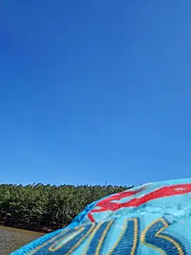 Dixiefaye Pika online show from March 2025 08:15:02 PM