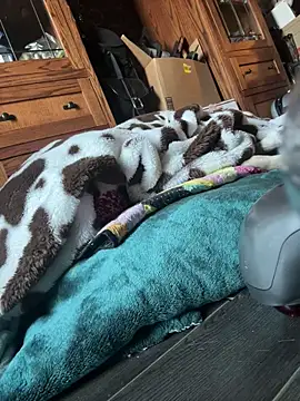 Snapshot of SexyB214 chatting on March 2025 12:15:01 AM SexyB214 online show from March 2025 12:15:01 AM