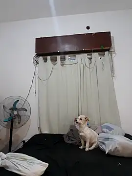 Snapshot of Shura_xxxBig chatting on October 2025 12:11:01 AM Shura xxxBig online show from October 2025 12:11:01 AM