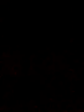 Adee21e online show from October 2025 06:51:02 PM