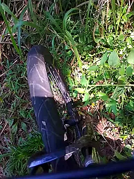 Adee21e online show from November 2025 04:38:01 PM