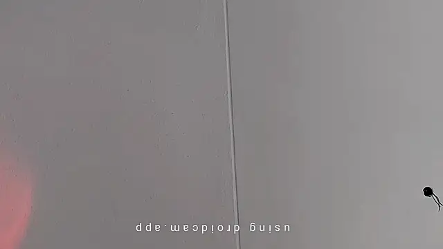 Pegg-fist-me online show from March 2026 08:52:01 AM