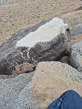 Snapshot of SexyErola27 chatting on December 2025 01:29:02 PM SexyErola27 online show from December 2025 01:29:02 PM