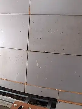 Boysex227 online show from March 2026 07:36:02 AM