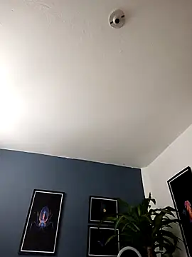 SilvaBranko online show from November 2025 12:03:02 AM