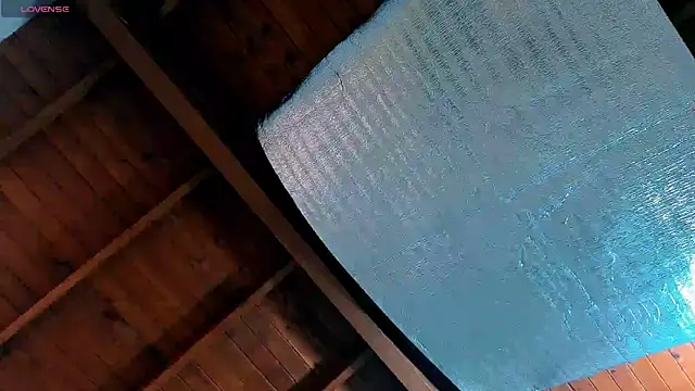 SilvaBranko online show from May 2026 08:03:02 PM