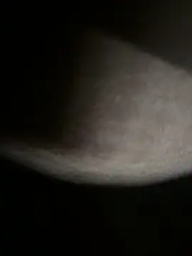 Snapshot of Bongcrush_3 chatting on March 2025 01:17:02 AM Bongcrush 3 online show from March 2025 01:17:02 AM