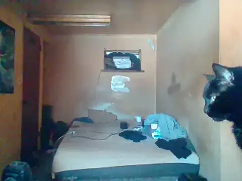 Snapshot of Nightshade7712 chatting on February 2025 05:55:02 PM Nightshade7712 online show from February 2025 05:55:02 PM