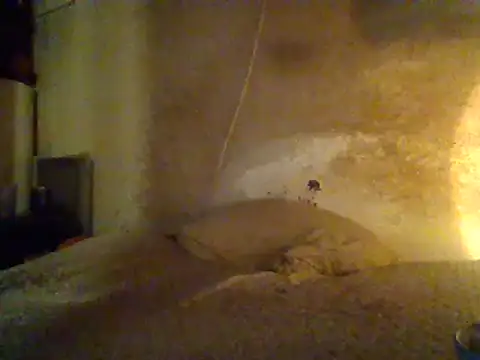 Snapshot of Nightshade7712 chatting on February 2025 07:06:02 AM Nightshade7712 online show from February 2025 07:06:02 AM