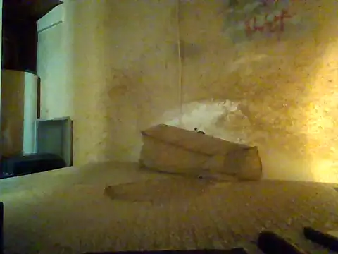 Snapshot of Nightshade7712 chatting on September 2025 07:57:02 PM Nightshade7712 online show from September 2025 07:57:02 PM