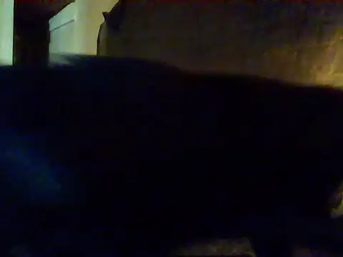 Snapshot of Nightshade7712 chatting on September 2025 09:38:01 PM Nightshade7712 online show from September 2025 09:38:01 PM