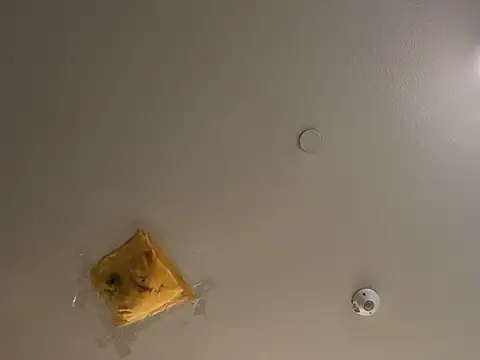 JakTRipr online show from March 2025 03:14:02 PM