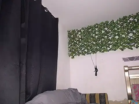 nedd master online show from February 2026 03:51:02 AM