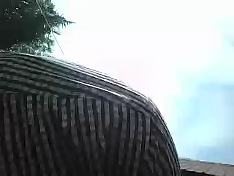 Snapshot of Javan_ chatting on January 2025 08:41:01 AM Javan online show from January 2025 08:41:01 AM