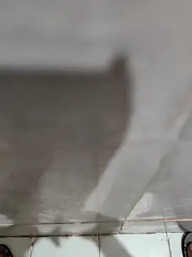 joejoe7 online show from November 2025 01:33:01 AM