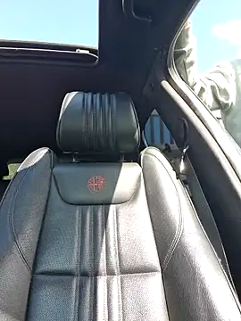 robertilevis online show from March 2025 12:44:01 PM